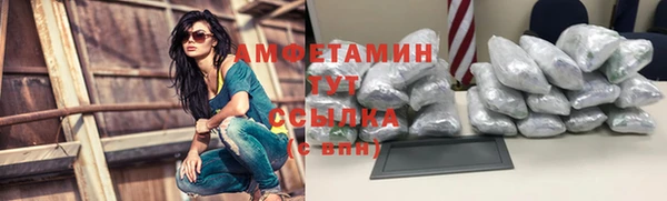 прущие грибы Кодинск
