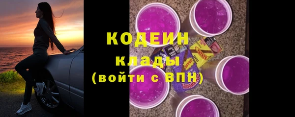 прущие грибы Кодинск