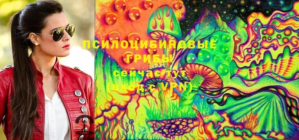 прущие грибы Кодинск