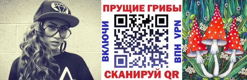 Псилоцибиновые грибы MAGIC MUSHROOMS  ссылка на мегу как зайти  Фатеж 
